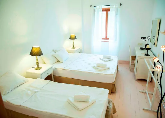 酒店 Hazz 阿拉恰特